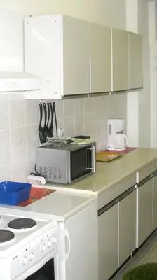 Küche/Küchenzeile in der Unterkunft Heino Apartments