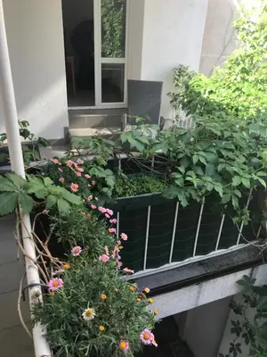 Ein Garten an der Unterkunft Vienna city apartment 2