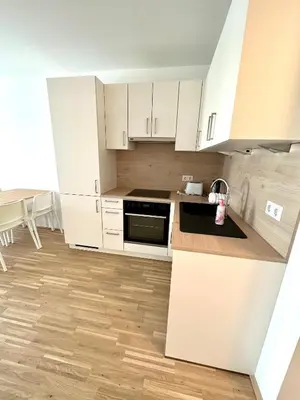 Küche/Küchenzeile in der Unterkunft FORSTHAUS 28 FREE GARAGE