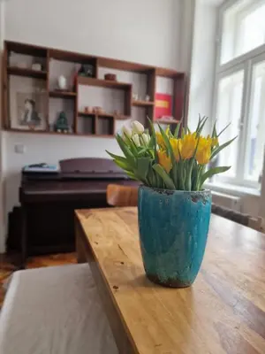 Grundriss der Unterkunft 4 seasons apartment