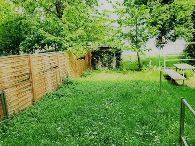 Ein Garten an der Unterkunft Donaufelder City Apartment