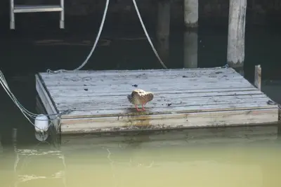 Blick auf einen Fluss in der Nähe des Ferienhauses
