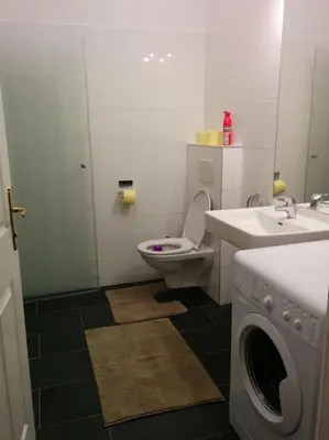 Ein Badezimmer in der Unterkunft Central Apartment Vienna City Center