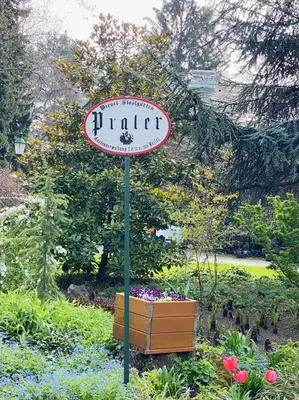 Ein Garten an der Unterkunft Magic Vienna right next to the Prater!